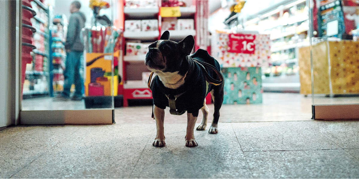 Neve Pet Shop 01