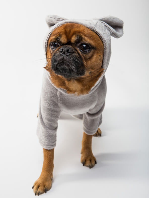 Neve Pet Shop 24
